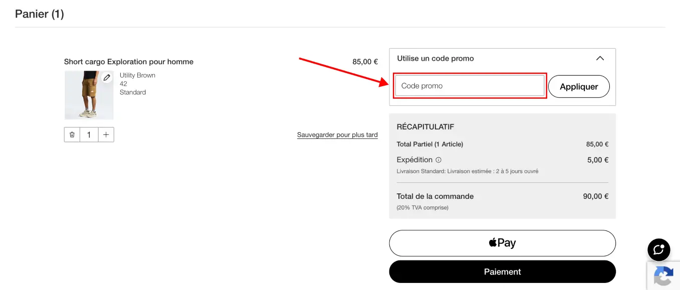 Tutoriel code promo The North Face